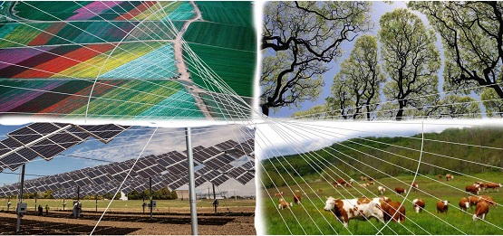 Mitigazione del cambiamento climatico: il contributo di agricoltura e foreste