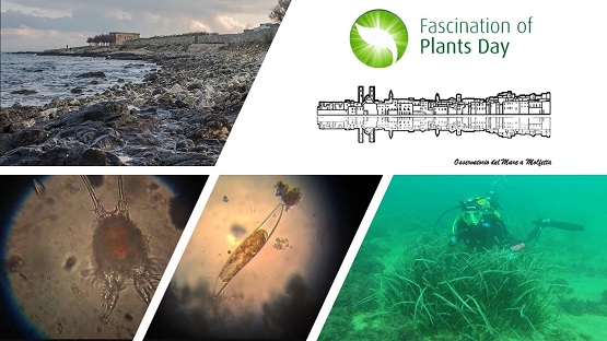 FASCINATION OF PLANTS DAY: Workshop su Biodiversità marino costiera, salute urbana e citizen science