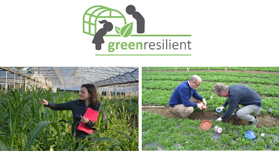 Al via il Meeting del Progetto Greenresilient “Produzione biologica e biodinamica in serra: l’agroecologia per la progettazione di sistemi sostenibili e resilienti”, organizzato dal CREA