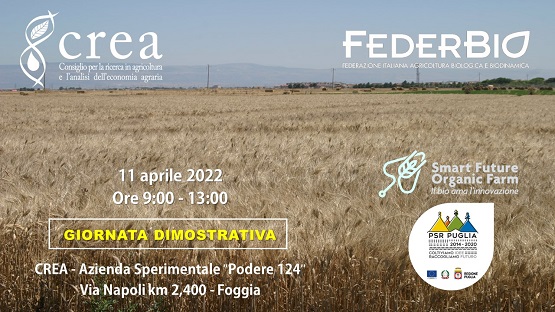 Appuntamento con la prima giornata dimostrativa del progetto Smart Future Organic Farm (SFOF)