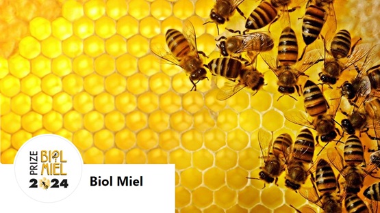 Concorso internazionale BIOLMIEL diretto ai mieli di produzione biologica