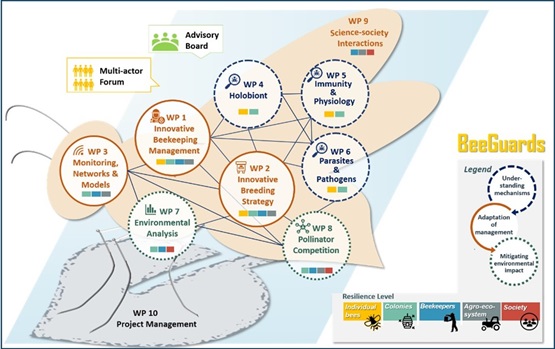 Secondo Annual General Meeting del Progetto BeeGuards