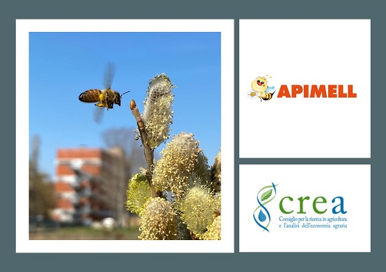 APIMELL - Mostra Internazionale di Apicoltura, dei prodotti e delle attrezzature apistiche