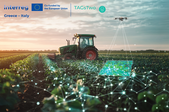 Workshop: &ldquo;Servizi di innovazione nel settore agrario e rafforzamento delle reti di cooperazione transfrontaliera dei GAL&rdquo;