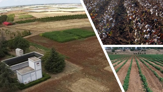 GIORNATE FORMATIVE - RADICI DI SCIENZA