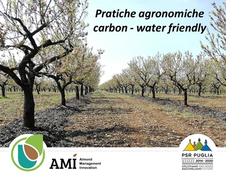 Incontro di comunità di pratica - Progetto AMì (Almond Management Innovation - Approcci per una Mandorlicoltura biologica e innovativa)