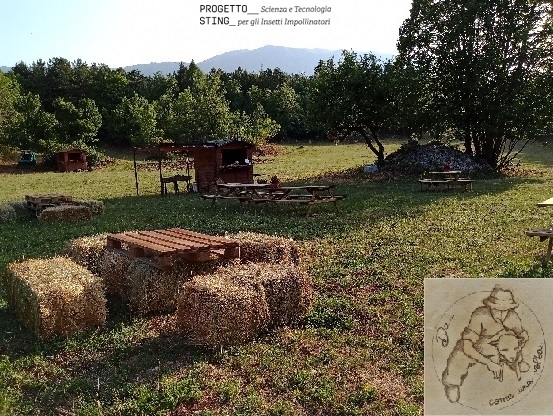 Picnic Impollinatori: umani e insetti condividono il cibo