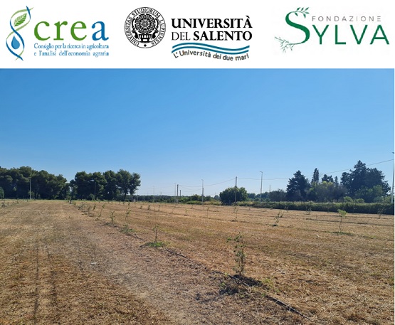Presentazione del Parco della Conoscenza intitolato agli Alumni UNISALENTO