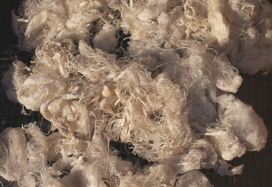 Trame sostenibili: l’industria della seta tra storia e innovazione