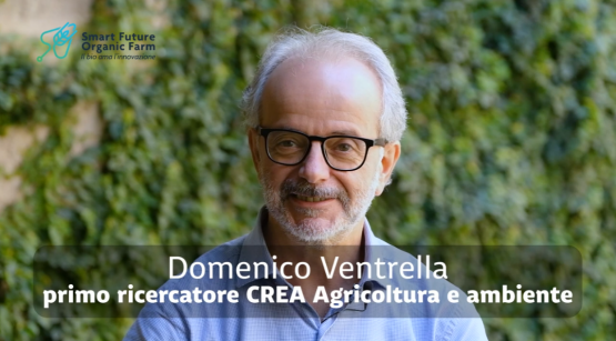 Come può l’agricoltura, e in particolare la biologica, contribuire a mitigare gli effetti dei cambiamenti climatici?