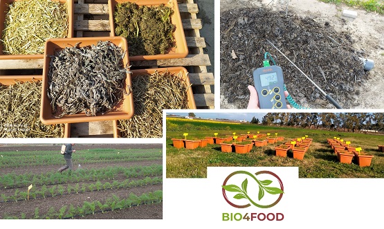 Mid-term Meeting del Progetto “BIO4FOOD - High quality and nutrient rich food through crop waste-derived biostimulant and biopesticide”