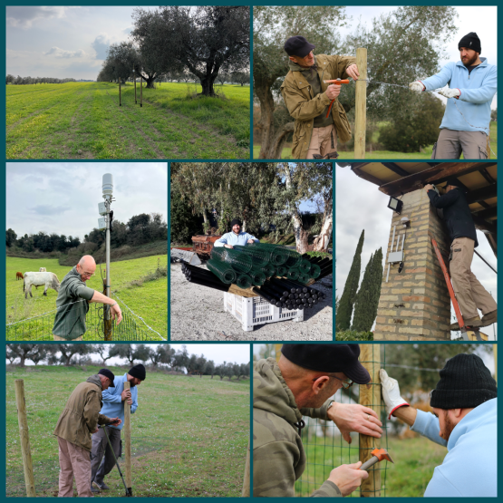 Emissioni in agricoltura: al via le attività in campo del Progetto SENSE