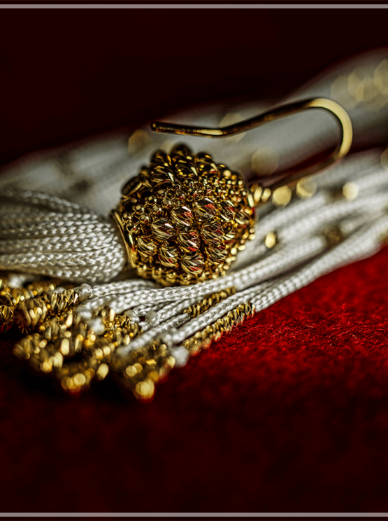 New millenium bug. Passato presente e futuro della sericoltura in Veneto