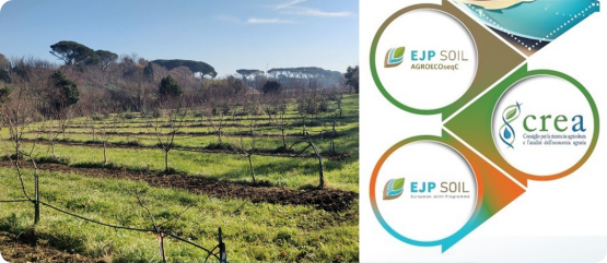 Scientific Forum “Agroecological intensification and functional biodiversity”