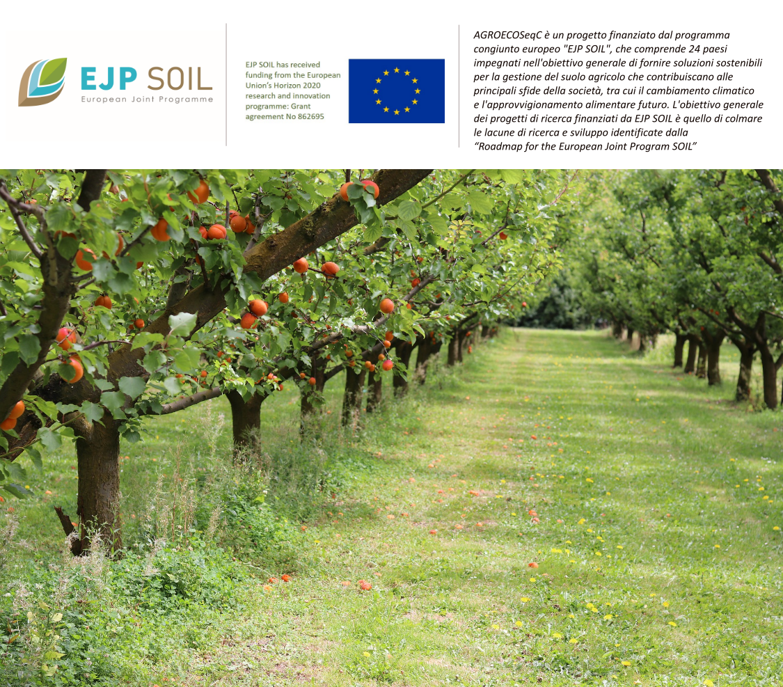 Meno emissioni e più carbonio nei suoli grazie all'agroecologia: parte il progetto AGROECOSeqC