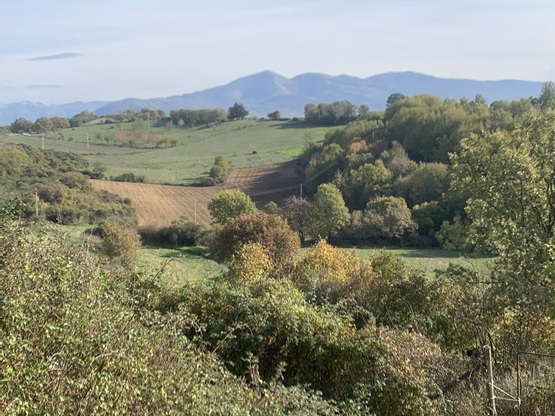 Progetto CarbonFarming MED: “Ricerca e buone pratiche per la gestione del carbonio nei suoli mediterranei”