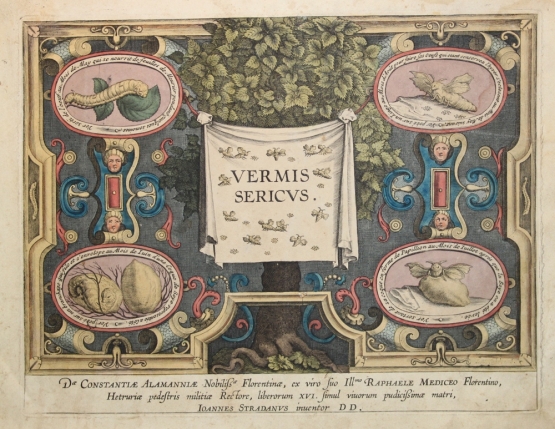 VIA EUROPEA DELLA SETA: Gelsicoltura e bachicoltura - nuove opportunità