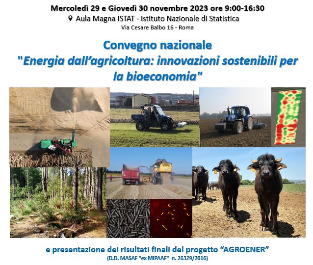 Convegno Nazionale sulle innovazioni sostenibili per le bioenergie (Progetto AGROENER)
