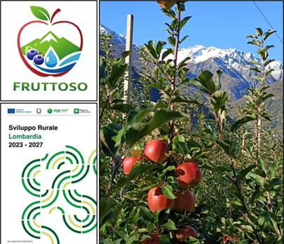 Save the date - 1° WEBINAR progetto FRUTTOSO: Le innovazioni agronomiche in Valtellina