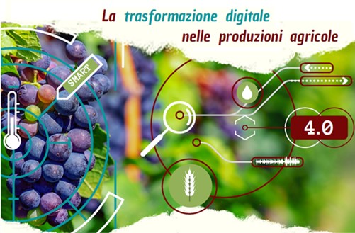 Innovazione Agritech e Agrifood: le nuove frontiere dell'Agricoltura 4.0. Webinar “La trasformazione digitale nelle produzioni agricole”