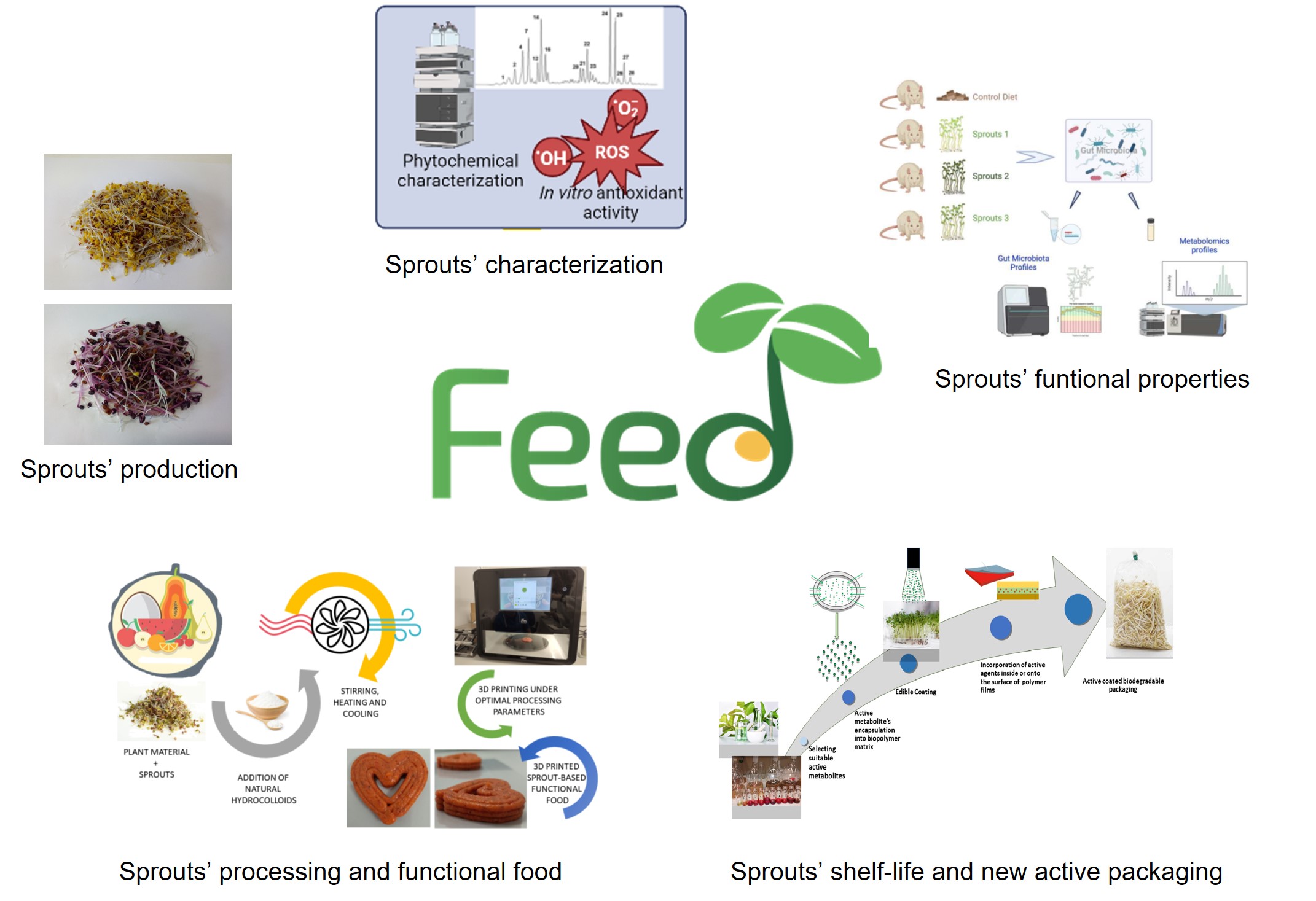 Ediably Sprouts FEED - From edible sprouts to healthy food: il CREA fra i partner del ...