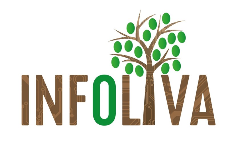 PROGETTO INFOLIVA: I RISULTATI
