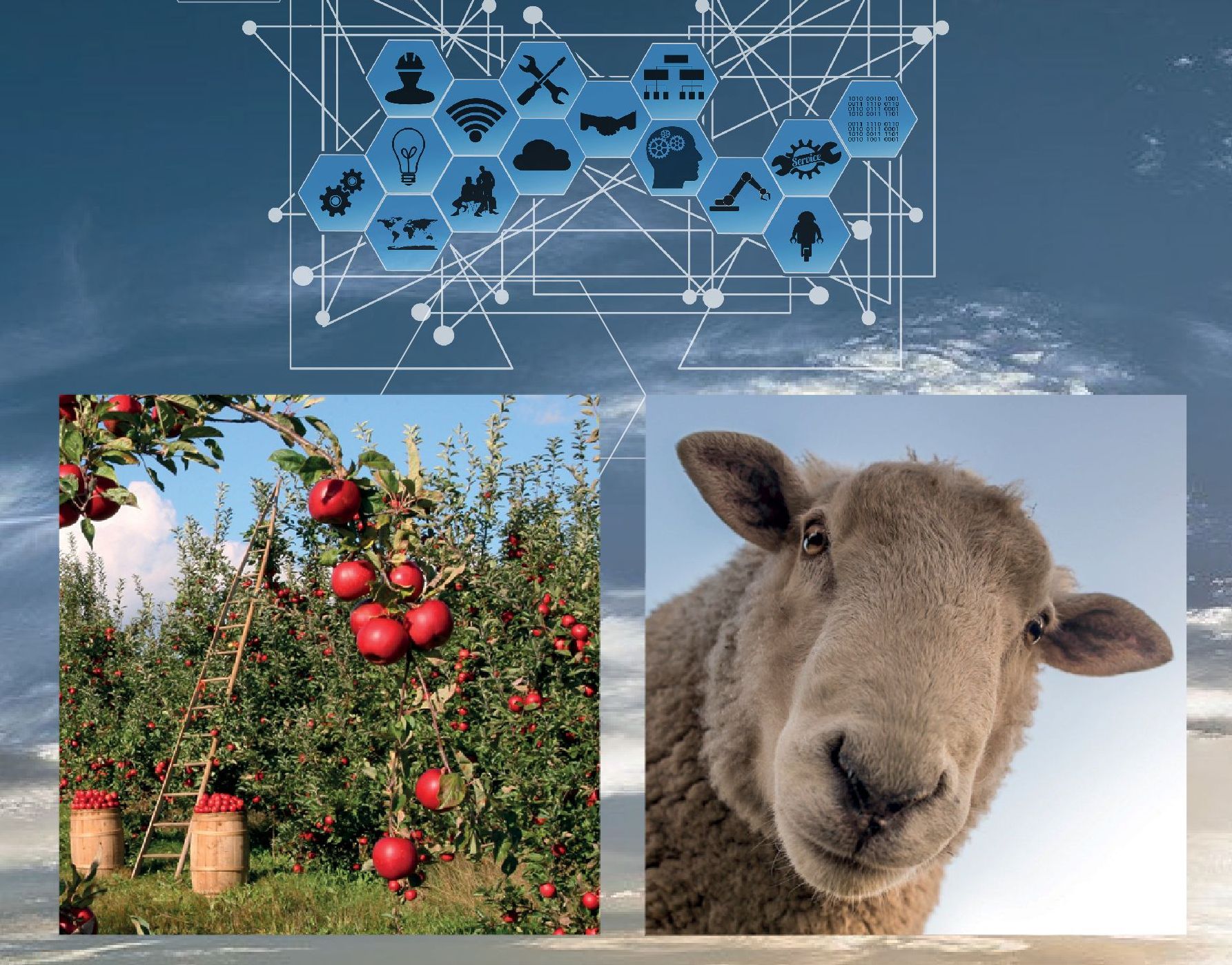 Webinar - L'agricoltura sostenibile che guarda al Futuro: innovazione, ricerca, formazione