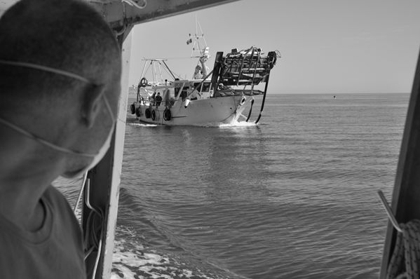 Progetto COGEVO: sperimentazione di attrezzature innovative per incrementare la selettività e ridurre l'impatto ambientale della pesca delle vongole