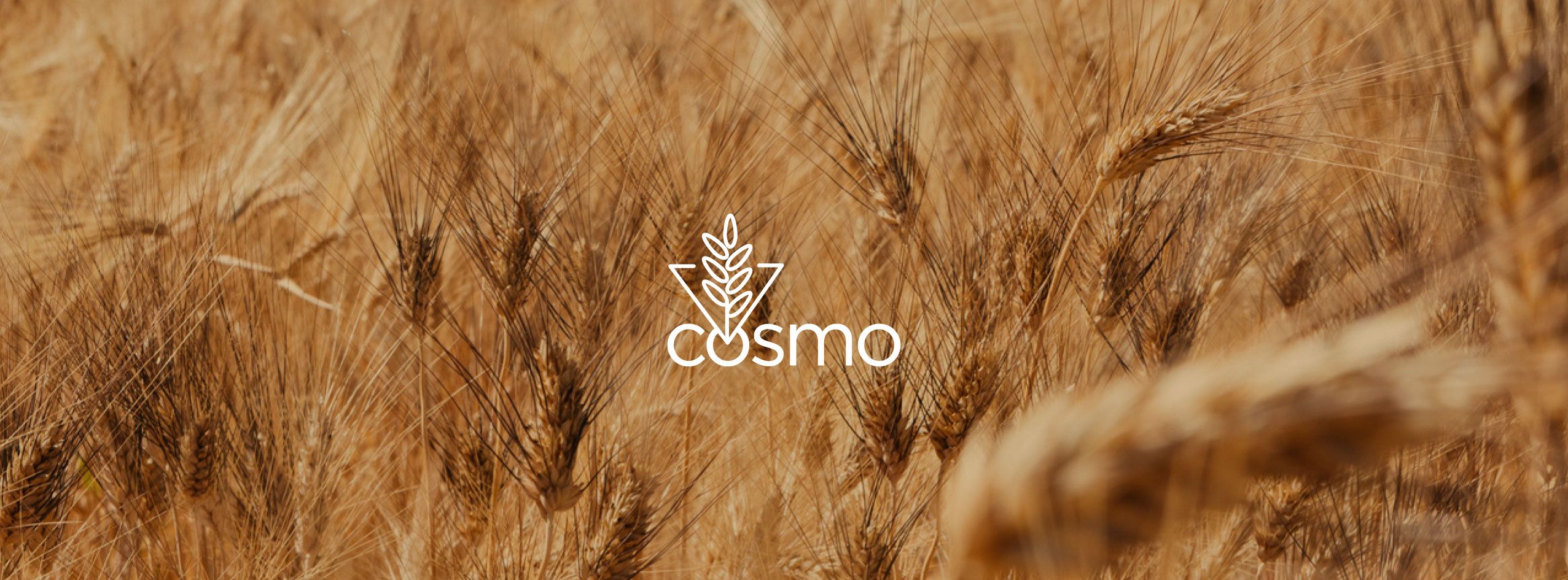 Progetto COSMO: la filiera del grano monococco in Sicilia dalla produzione primaria alla trasformazione
