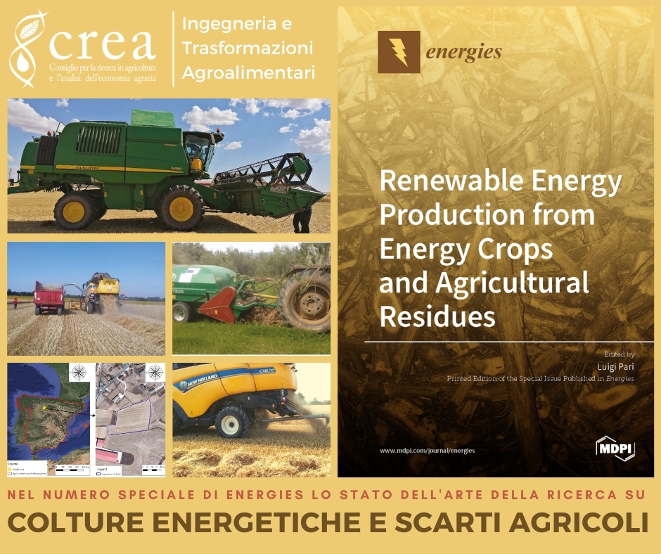 Special Issue sulla produzione di energia rinnovabile da colture energetiche e residui agricoli