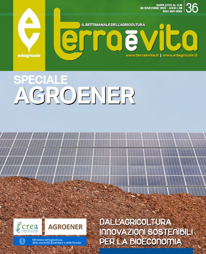 Agrobioenergie: on line lo Special Issue di “Terra è Vita”