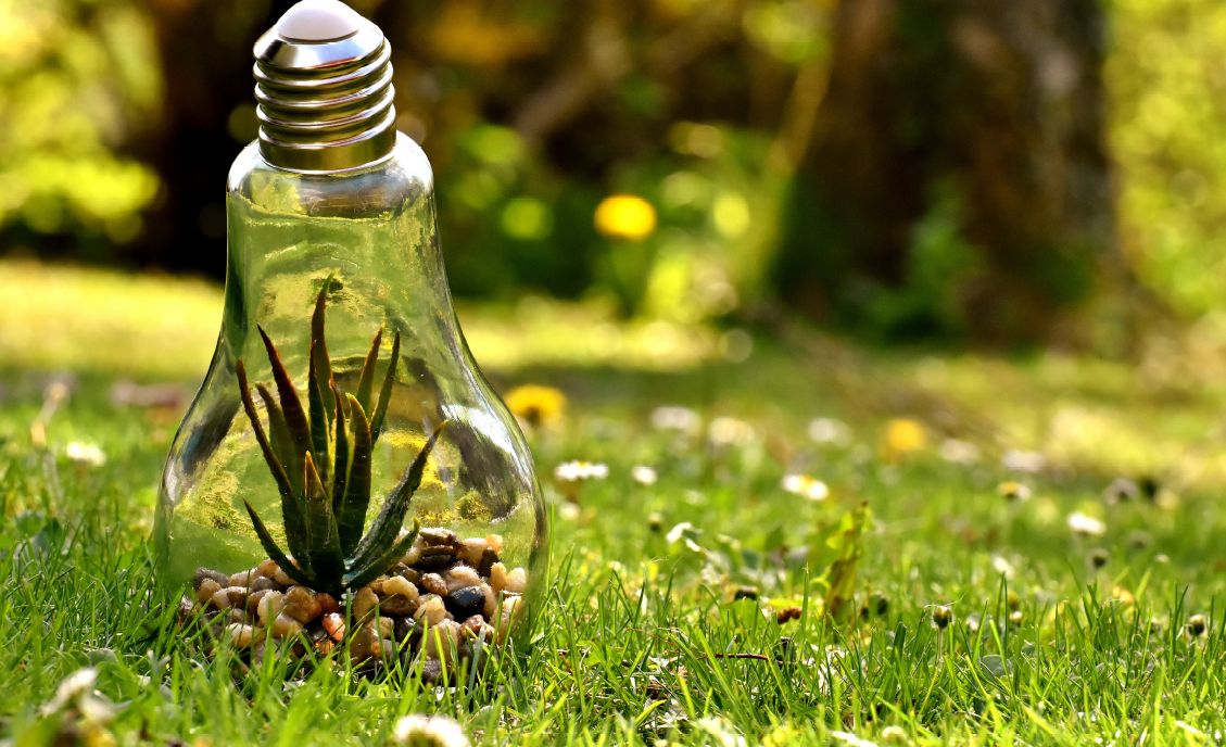 Summer School “Agroenergy and bio-sustainability”