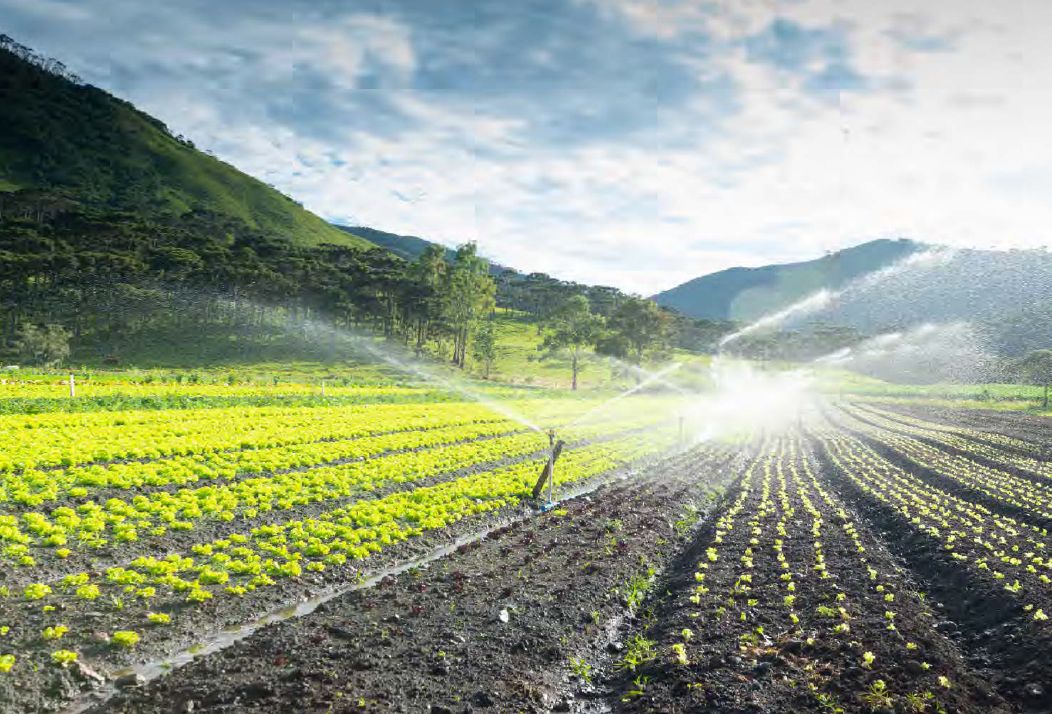 Webinar: “L’irrigazione di precisione: sostenibilità e innovazione al servizio dell’agricoltura”