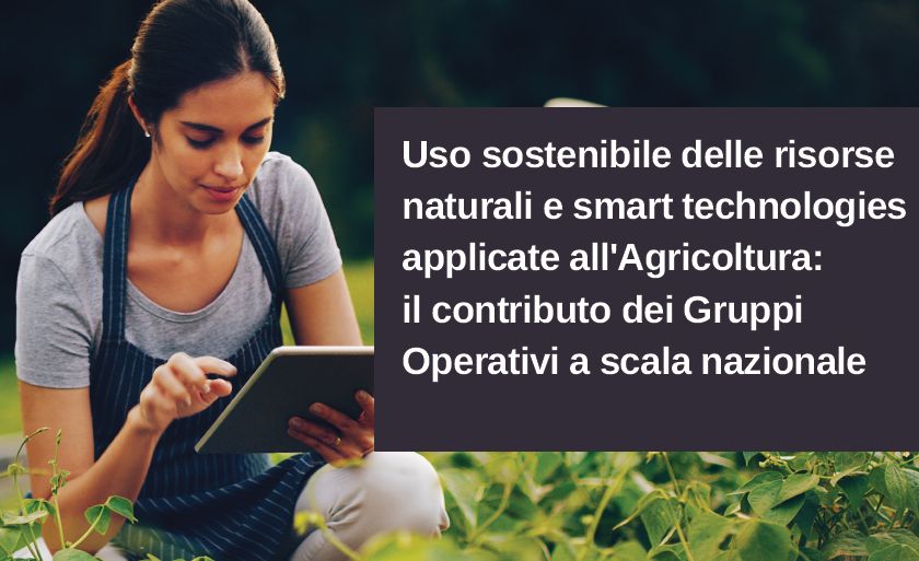 Webinar: Uso sostenibile delle risorse naturali e smart technologies applicate all’agricoltura