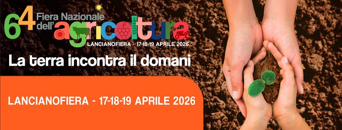 Il CREA alla 64&ordf; Fiera Nazionale dell&rsquo;Agricoltura di Lanciano: assaggi dimostrativi di olio e olive da tavola per valorizzare la qualit&agrave; agroalimentare italiana