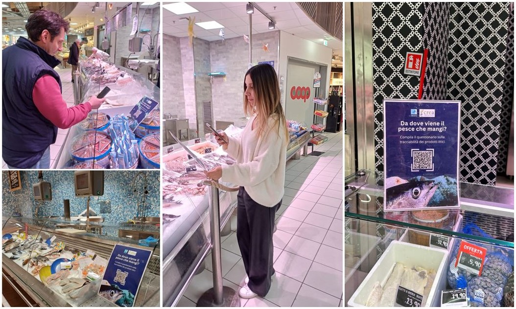 Il CREA e la Coop del Centro Italia insieme per la tracciabilità della filiera ittica