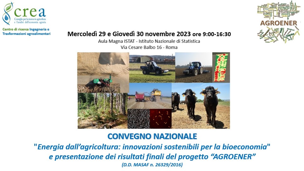 CONVEGNO NAZIONALE SULLE INNOVAZIONI SOSTENIBILI PER LE BIOENERGIE (PROGETTO AGROENER)