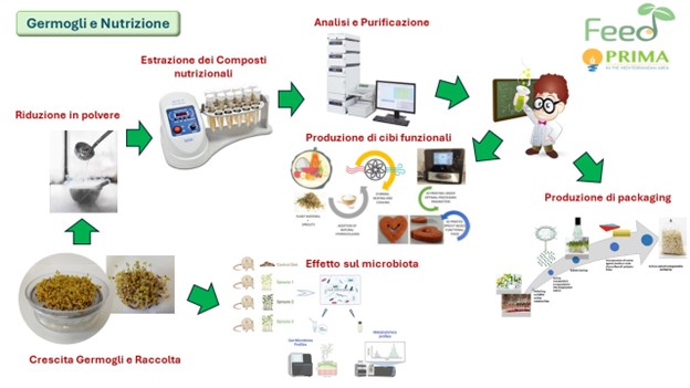 La salute vien germogliando: il CREA IT alla Notte Europea delle Ricercatrici e dei Ricercatori 2024 a Milano