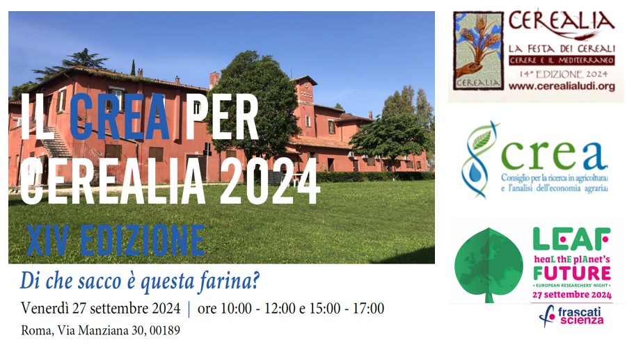 Di che sacco è questa farina?: Il CREA Ingegneria e Trasformazioni agroalimentari alla Notte Europea delle Ricercatrici e dei Ricercatori 2024 a Roma