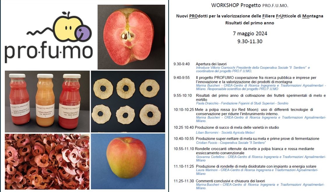 Workshop progetto PRO.F.U.MO: 