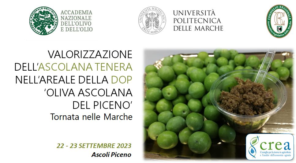 Il CREA a supporto della valorizzazione dell’Ascolana tenera