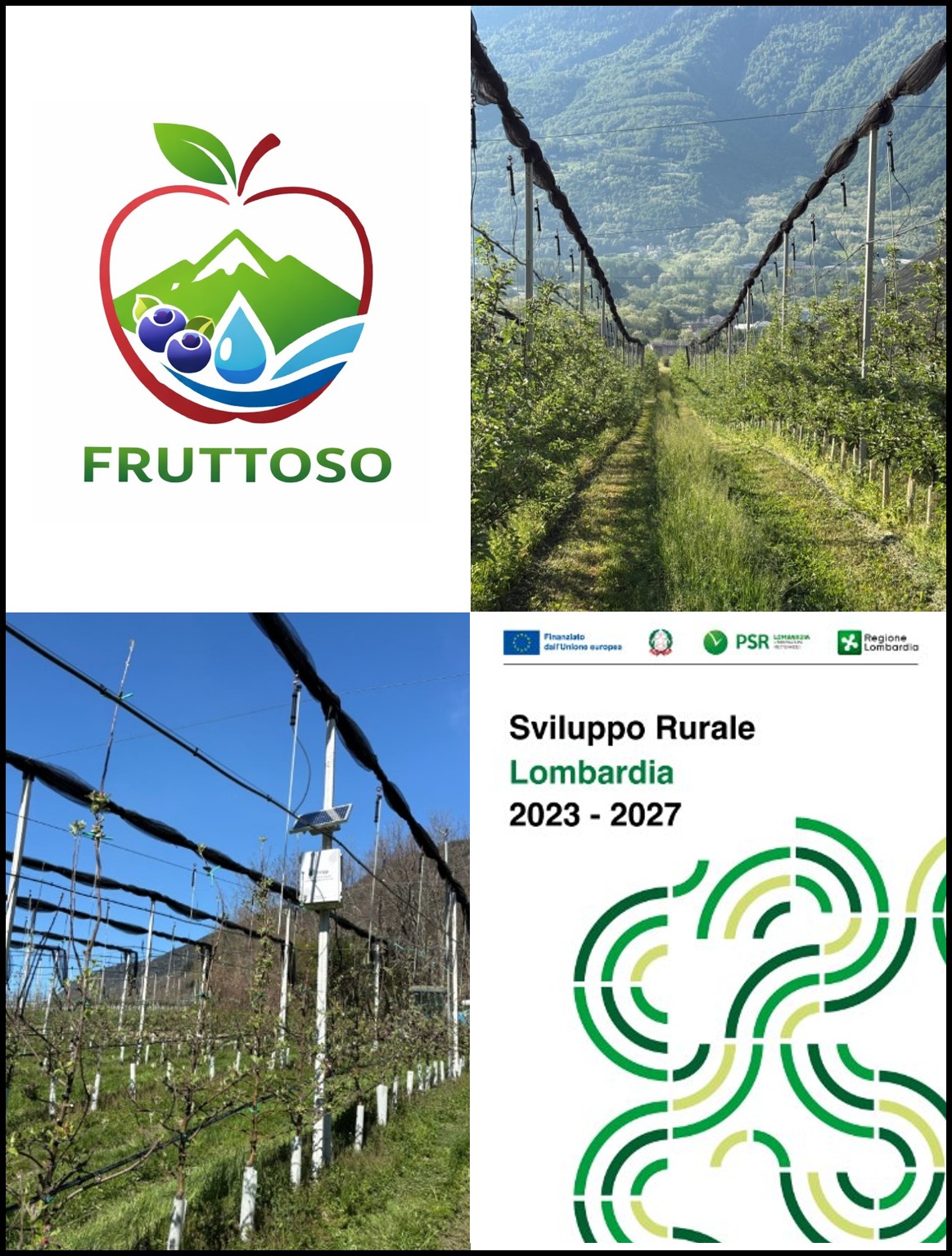 Save the date - 1&deg; Giornata Dimostrativa progetto FRUTTOSO: Le innovazioni agronomiche in Valtellina-Innovazioni su melo