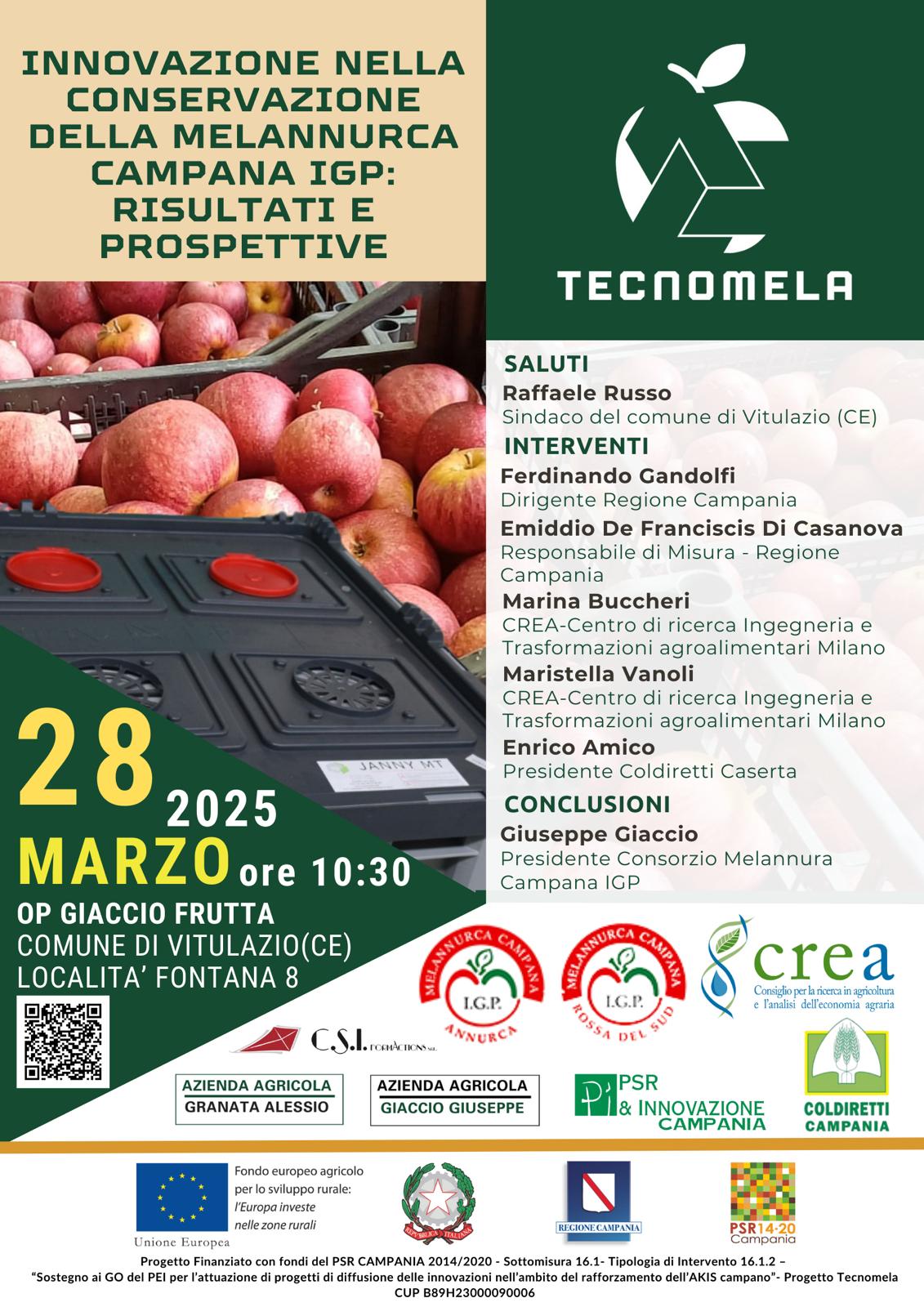 Innovazione nella conservazione della Melannurca Campana IGP: il progetto TECNOMELA