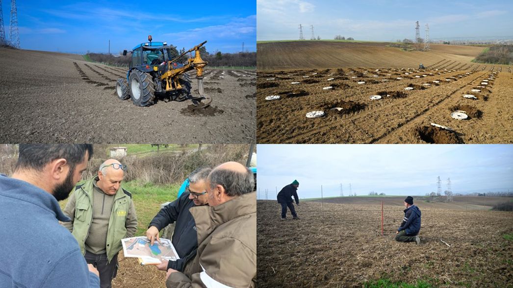 Future Proof agroForestry: un altro passo verso la creazione di corridoi verdi
