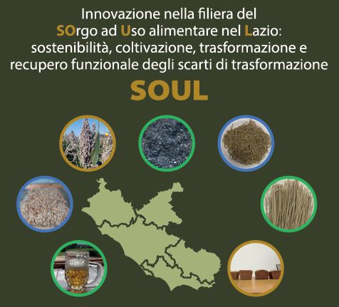 Sorgo: 1° Evento di divulgazione progetto SOUL
