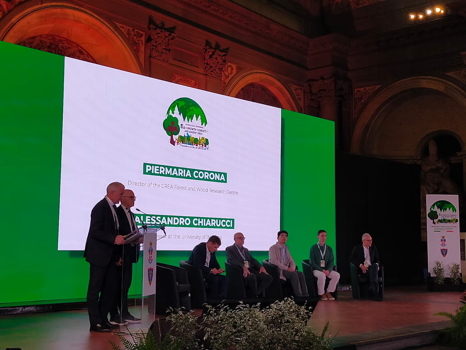 Old-Growth Forests and Ancient Trees: a treasure of natural life and culture Old-Growth Forests and Ancient Trees: a treasure of natural life and culture