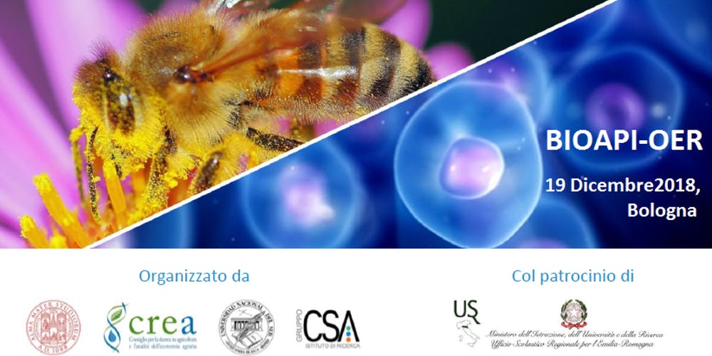 Il CREA al workshop finale del progetto BIOAPI-OER