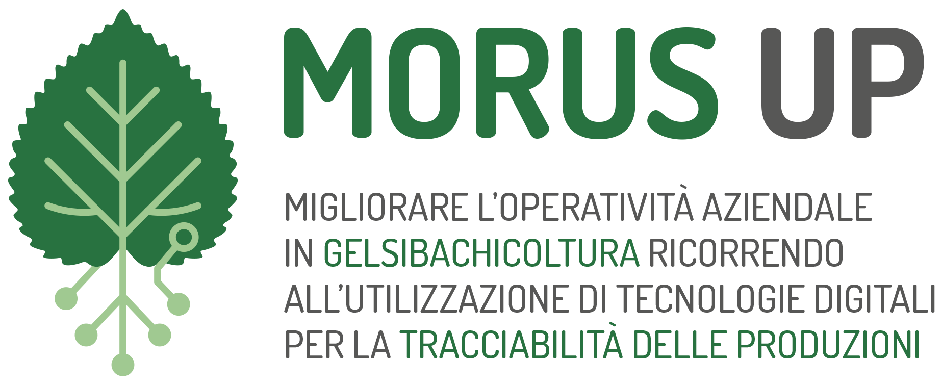 Il CREA partner di "MORUS UP": domani il lancio del progetto per la digitalizzazione della gelsibachicoltura veneta