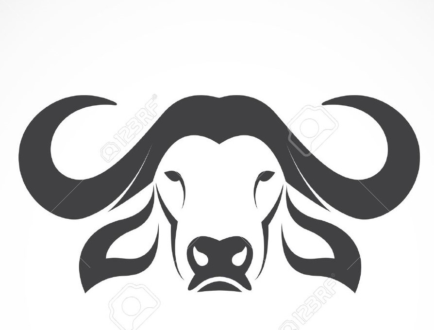 TECNOLOGIE INNOVATIVE DI ALLEVAMENTO E DI PROCESSO PER LA VALORIZZAZIONE QUALITATIVA DELLA CARNE DI BUFALO DEL LAZIO