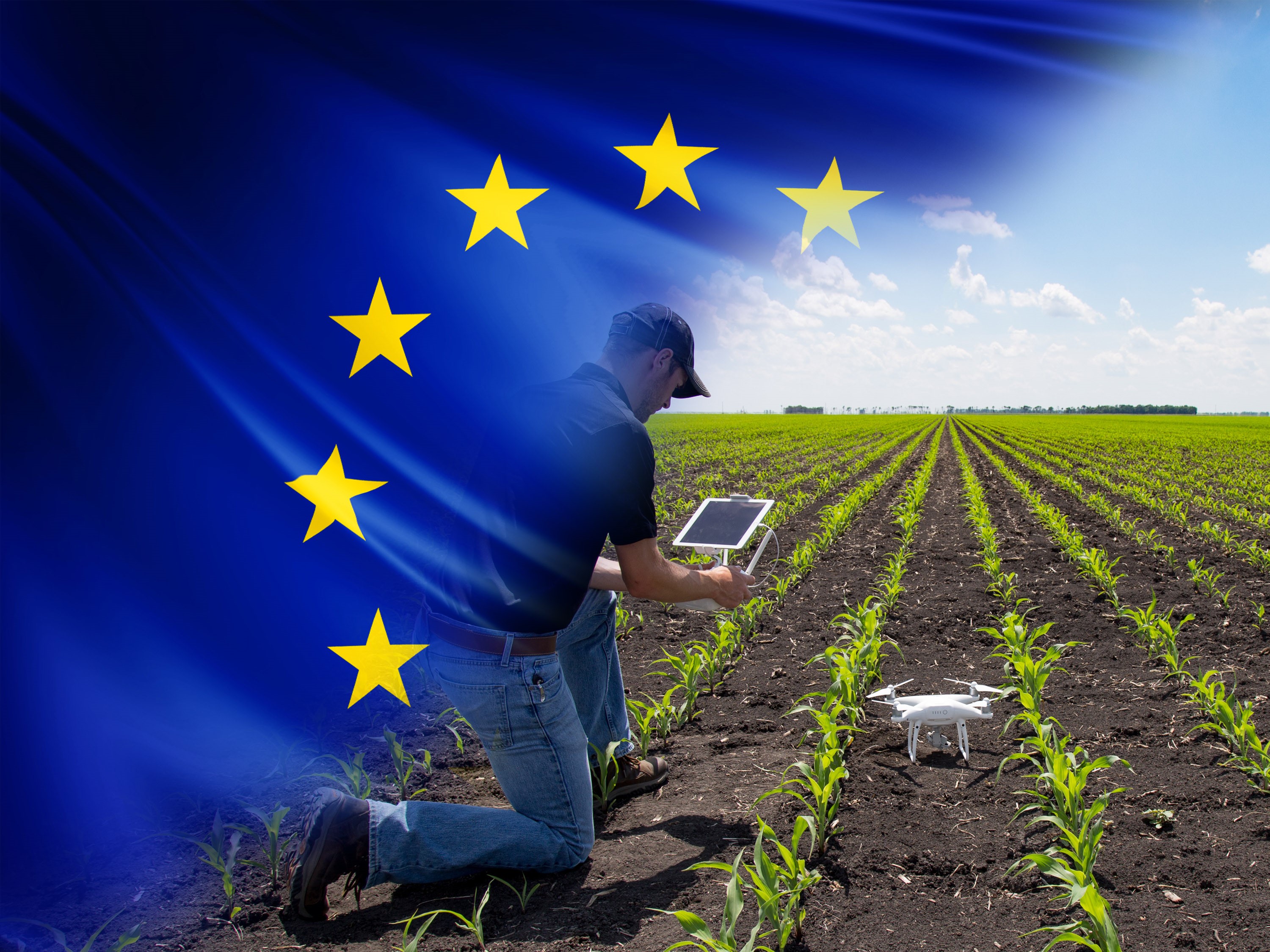 Bovini da latte e a duplice attitudine: incontro informativo con i beneficiari del comparto